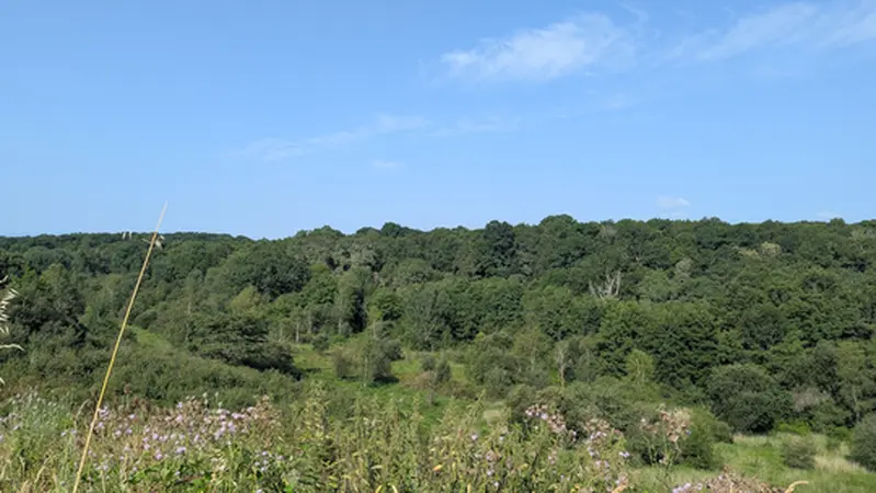 VIDÉO | Au cœur du « laboratoire de biodiversité » de TotalEnergies